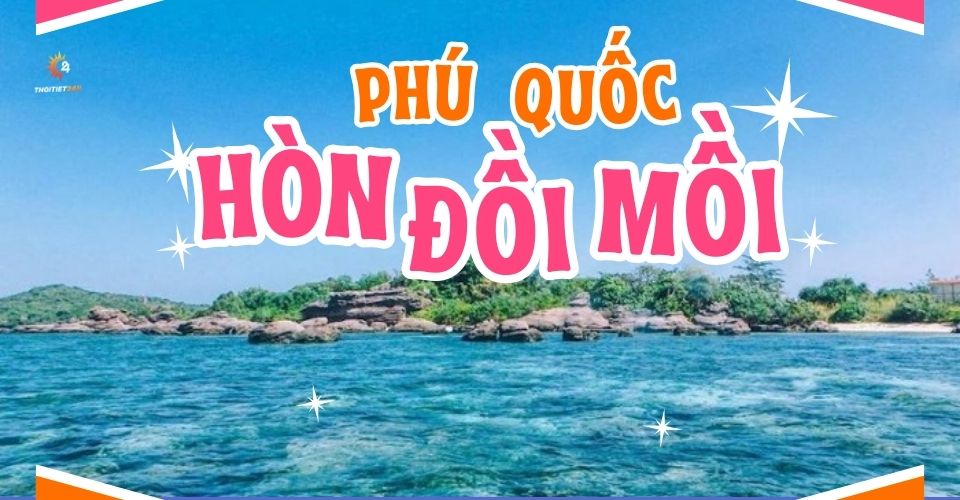 Khám phá Hòn Đồi Mồi Phú Quốc - Địa điểm ngắm san hô đẹp nhất Đảo Ngọc